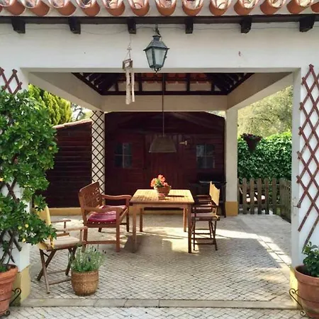 Villa Of Cedars Spirit, Garden Pool