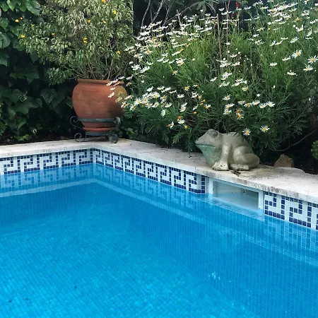 Villa Of Cedars Spirit, Garden Pool *