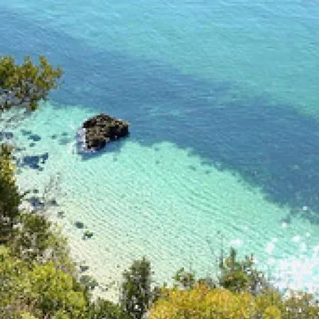 Of Cedars Spirit, Garden Pool * Setúbal